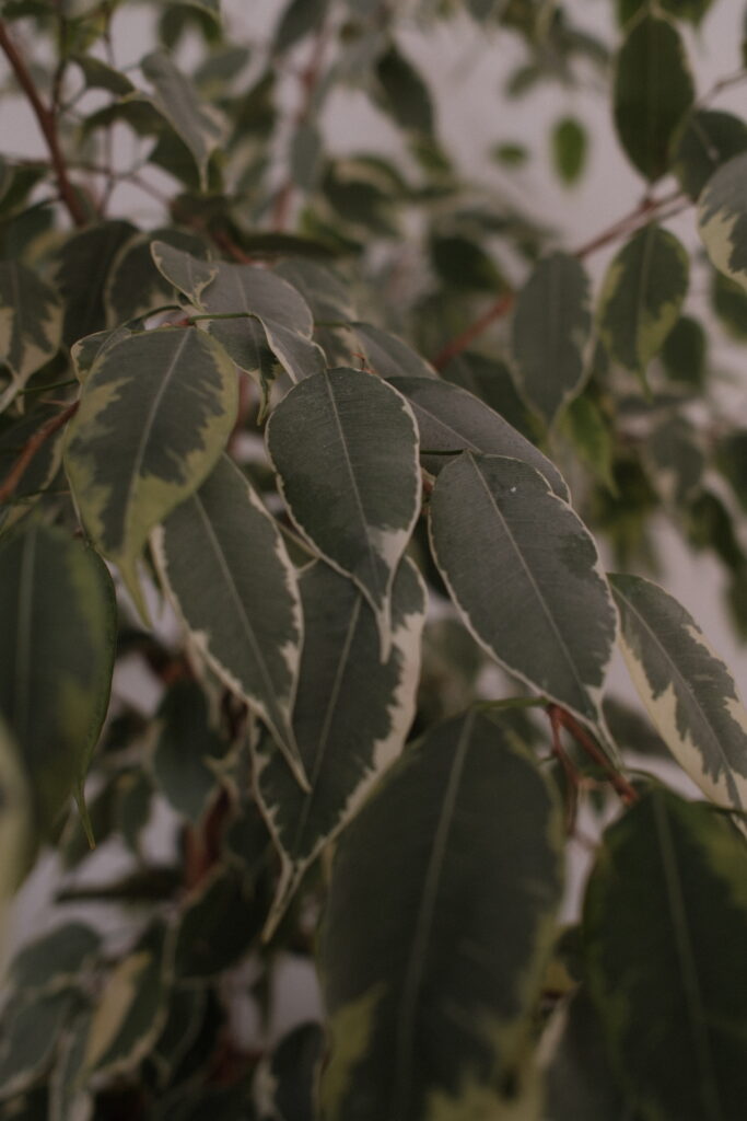 psychologische hilfe innsbruck