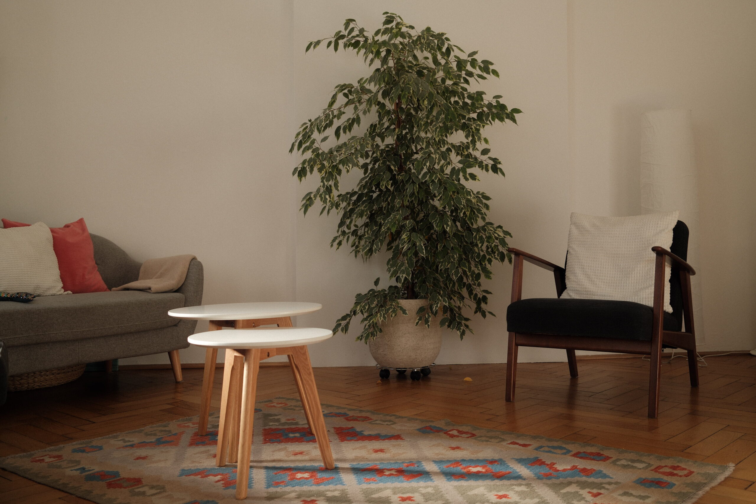 psychologin innsbruck